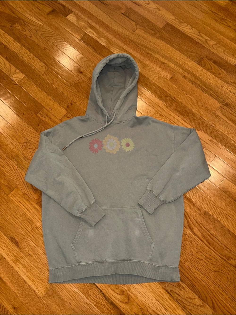 American Eagle Outfitters Light Blue Hoodie with Trio Floral Graphic
